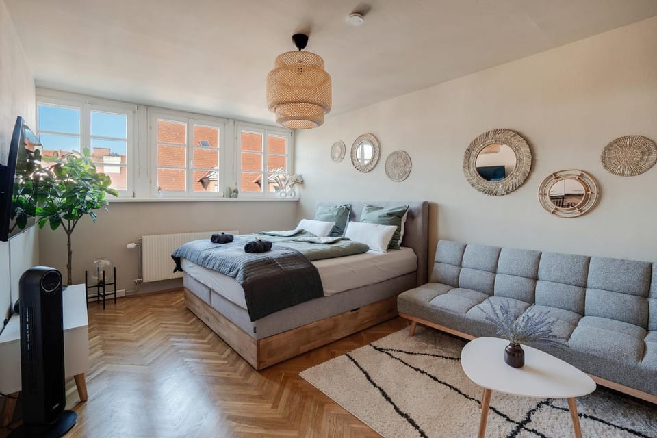 Bed, Living room, Photo of the whole room, Seating area, Bedroom