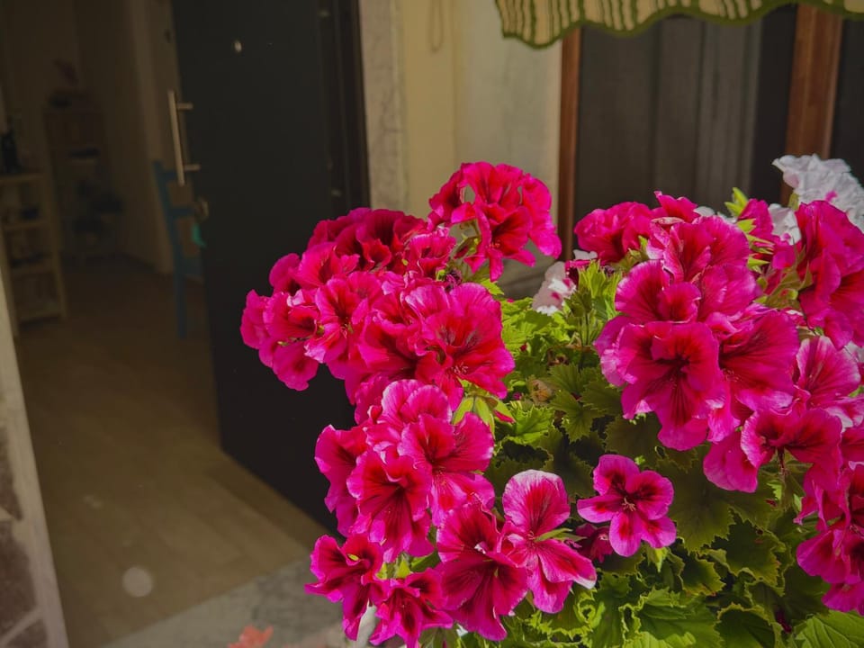 Dimora Santa Maria Bed and Breakfast in Campania