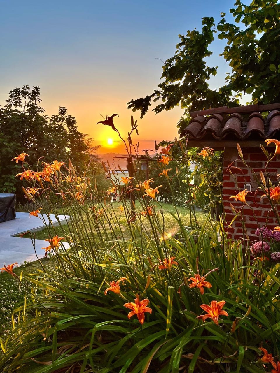 Spring, Natural landscape, Garden, Garden view, Sunset
