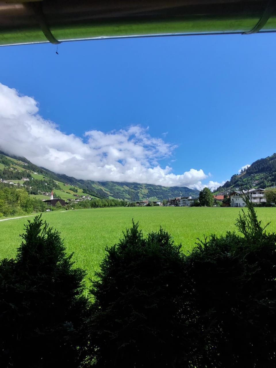 Natural landscape