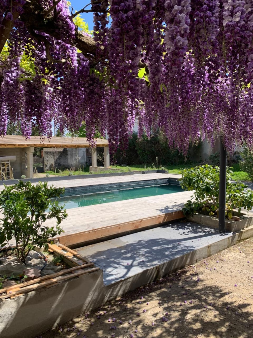 Garden, Garden view, Pool view, Swimming pool
