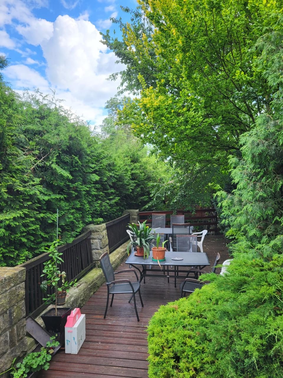 chatky Pension Doctor Nature lodge in Czechia