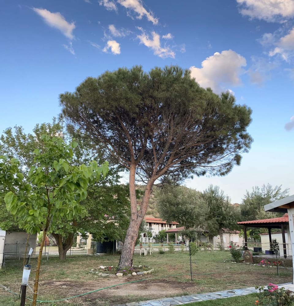 Villa Alva Villa in Halkidiki