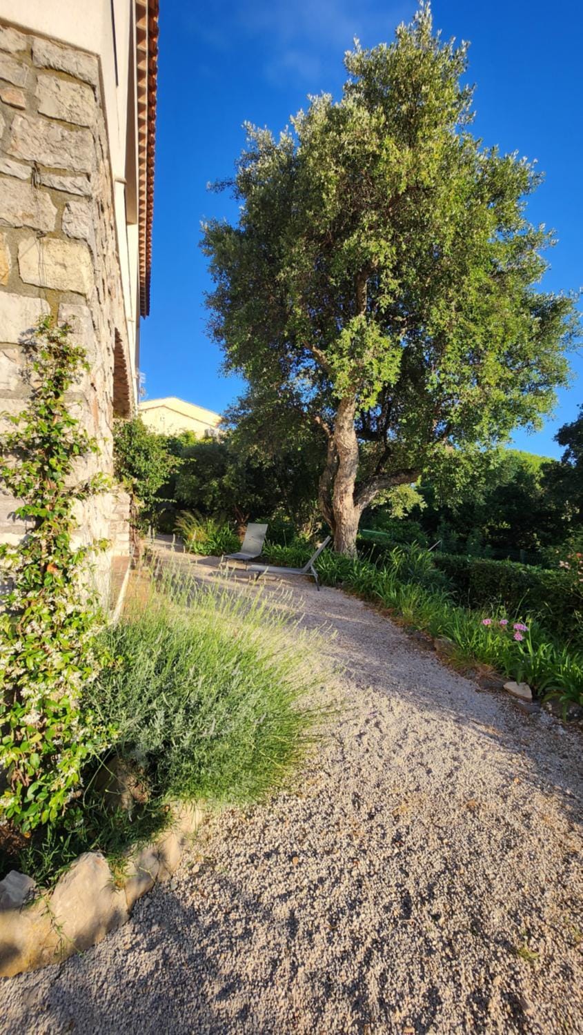 Garden, Garden view