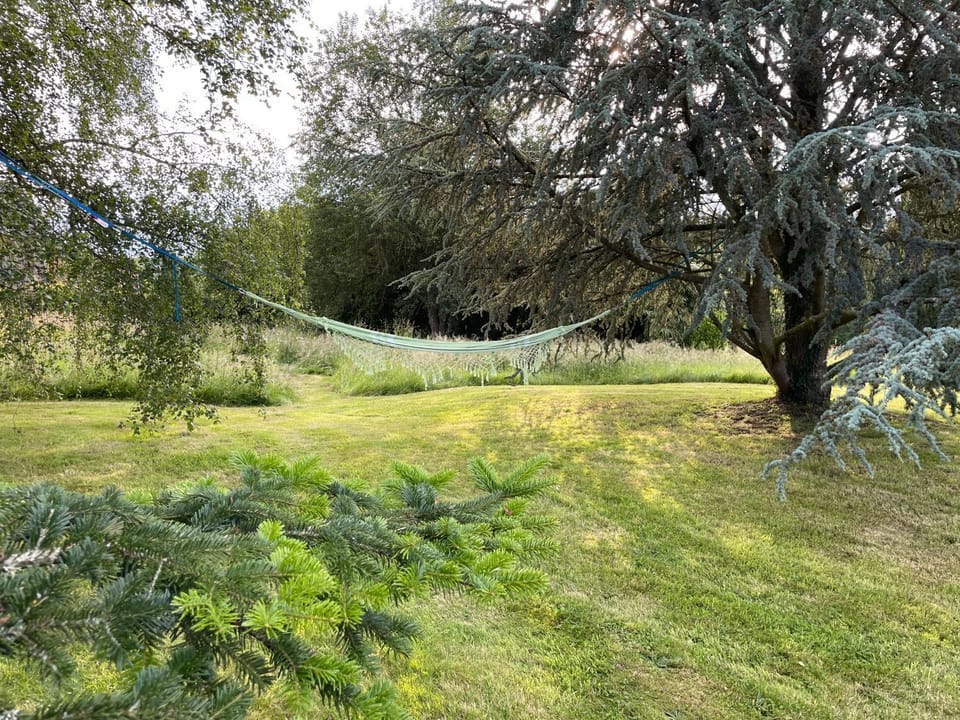 Day, Natural landscape, Garden