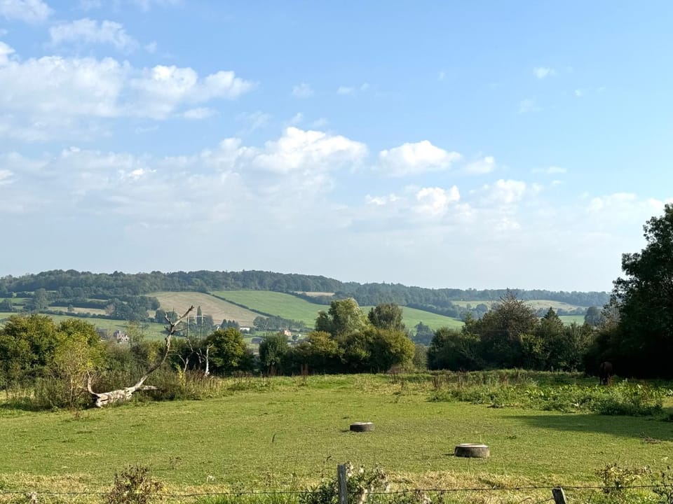 View (from property/room)