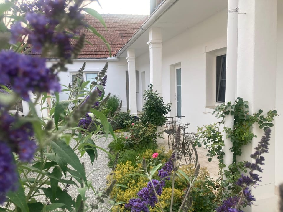 Property building, Patio