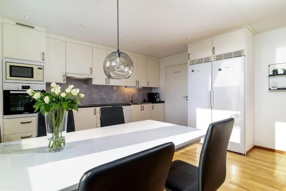 Kitchen or kitchenette, Dining area, oven, stove