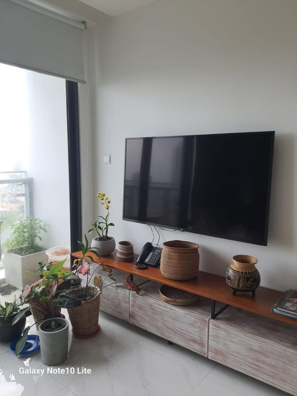 TV and multimedia