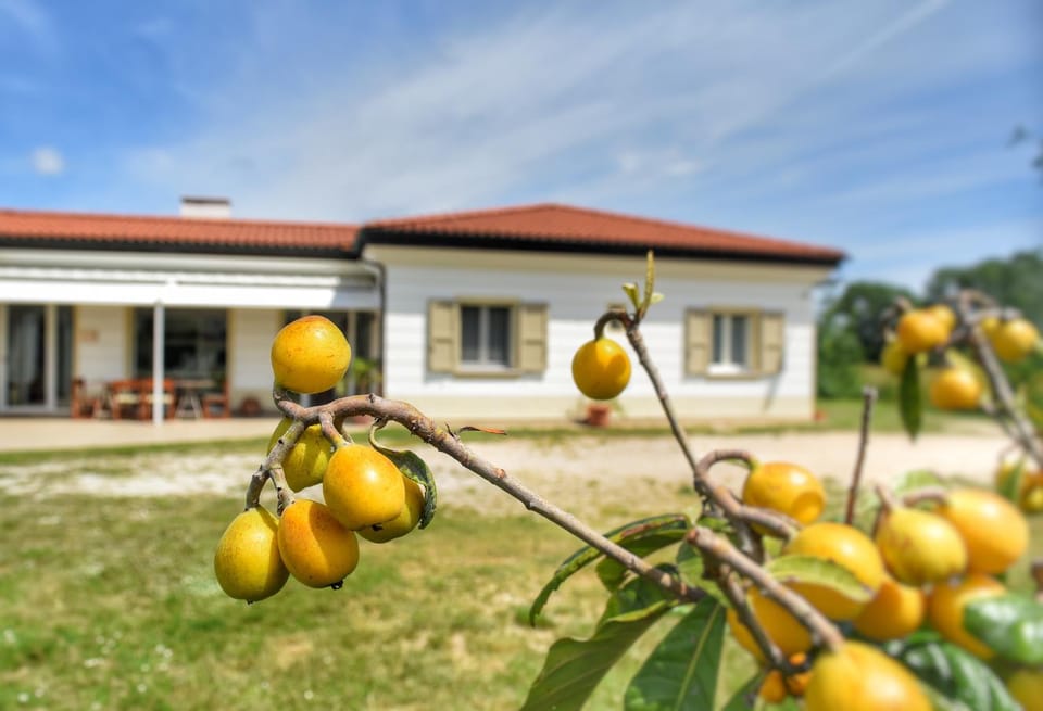 Da Manuela Bed and Breakfast in Emilia-Romagna