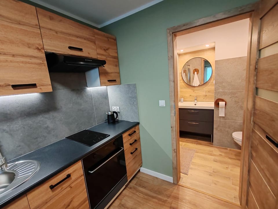 Kitchen or kitchenette, minibar, stove, kitchen