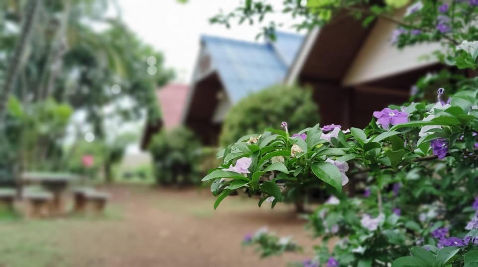 Kiniman Home Bed and Breakfast in Thailand