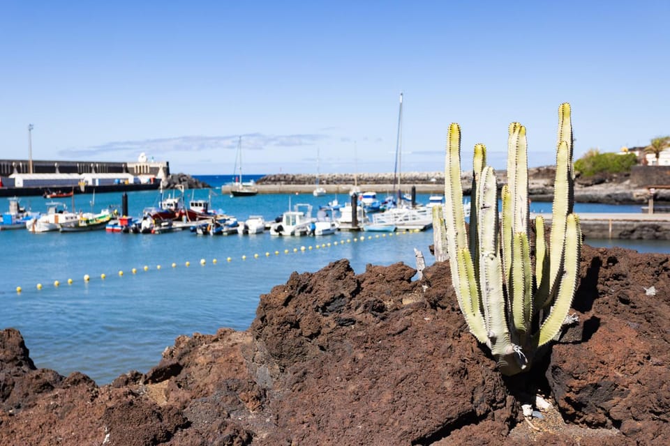 Casa Ana - Charming Sea View, El Hierro Apartment in El Hierro