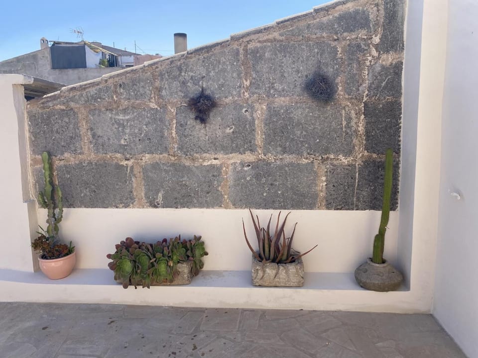 Ca na moltona House in Migjorn
