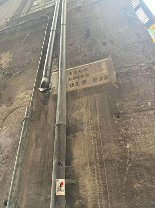 Day, Text overlay, Street view