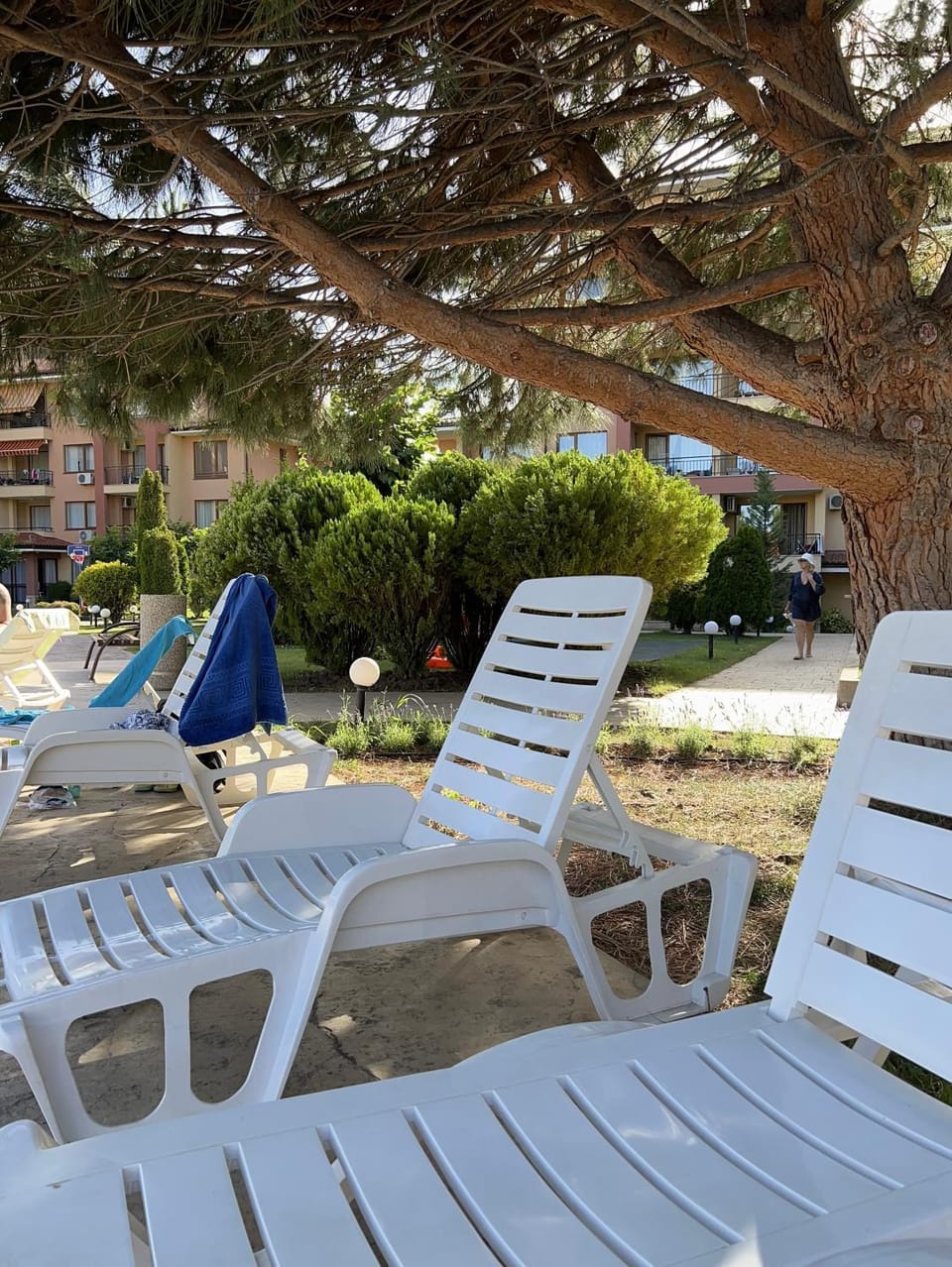 Garden, sunbed