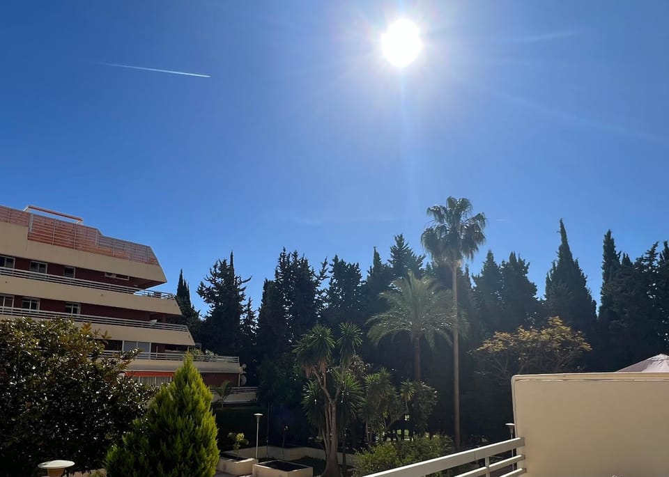 Garden view
