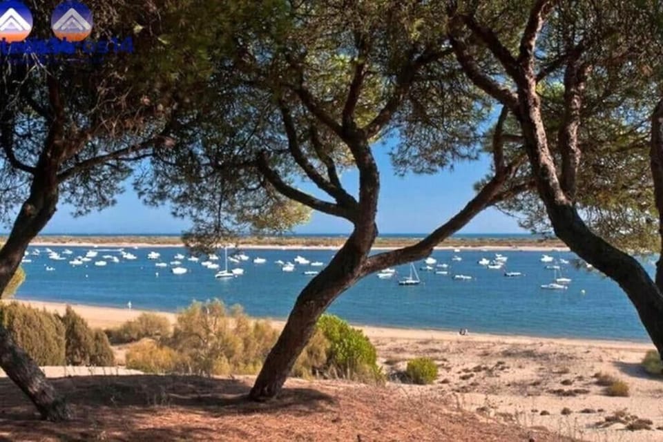 EL Rompido Los Enebros Pet Friendly Alquiler vacacional House in Costa de la Luz
