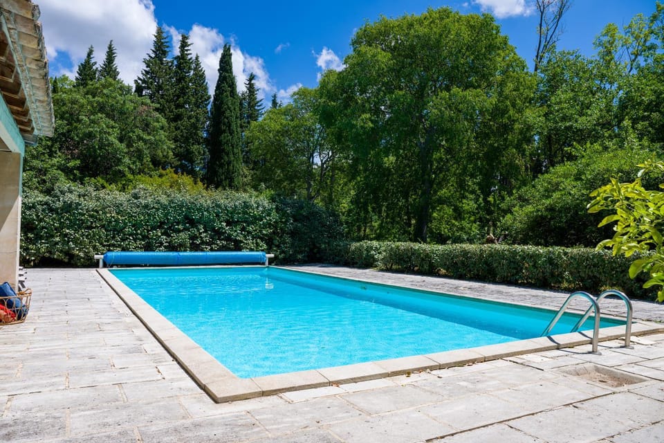 Garden, Pool view, Swimming pool, sunbed