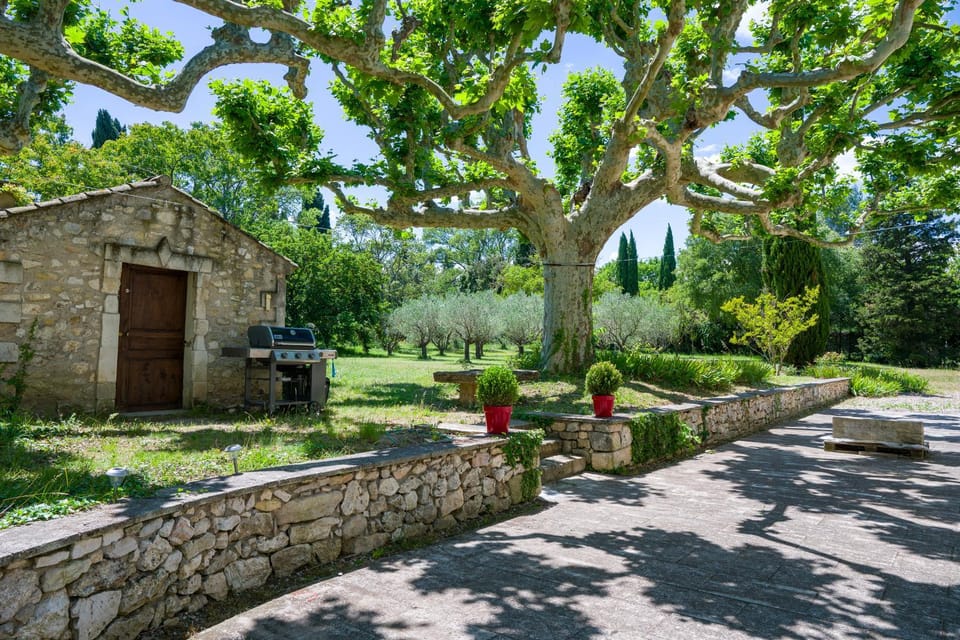 BBQ facilities, Garden