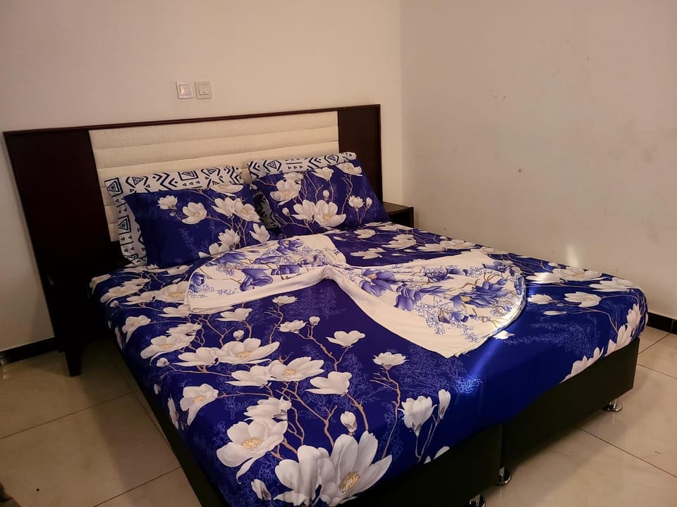 Furnished Luxury 2-bedroom apartment -Vanguard X ,Cloud 9 Bed and Breakfast in Douala