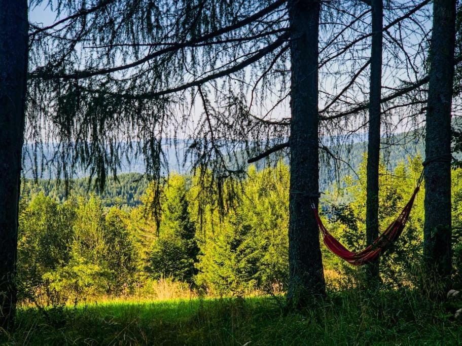 Grapa - Magiczna Leśna Chata House in Lesser Poland Voivodeship