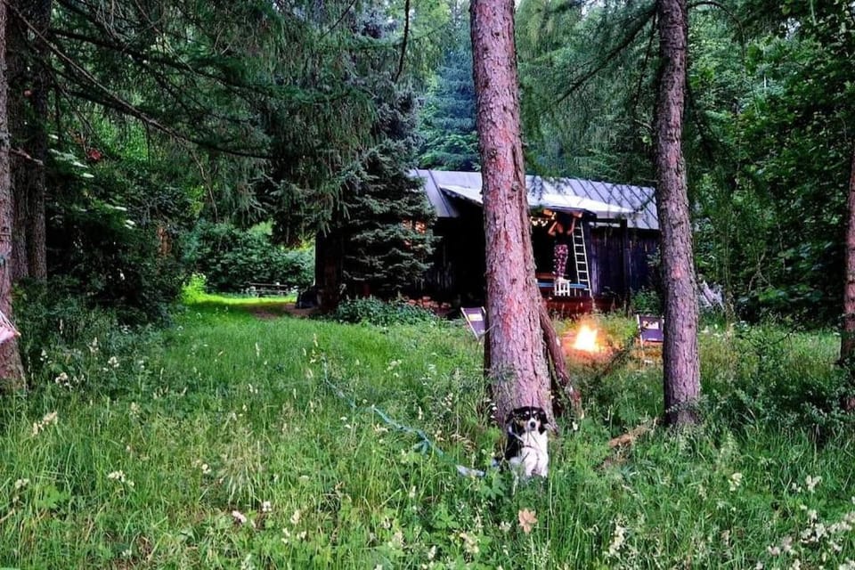 Grapa - Magiczna Leśna Chata House in Lesser Poland Voivodeship