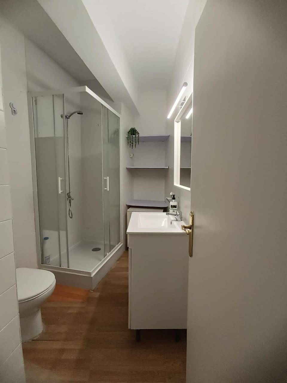 Shower, Toilet, Bathroom