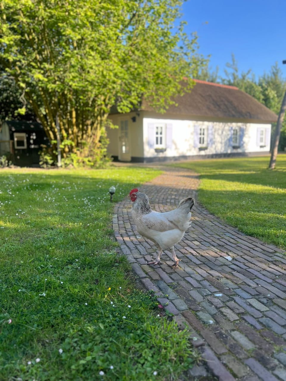 Garden, Garden view