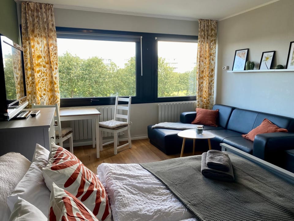 Photo of the whole room