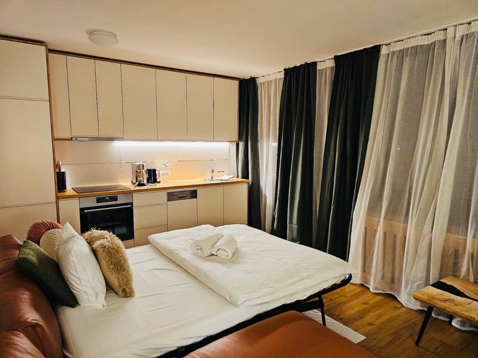 Bed, Kitchen or kitchenette, Living room, Photo of the whole room, Seating area, stove, towels