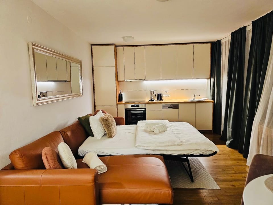 Bed, Kitchen or kitchenette, Living room, Photo of the whole room, kitchen, kitchen