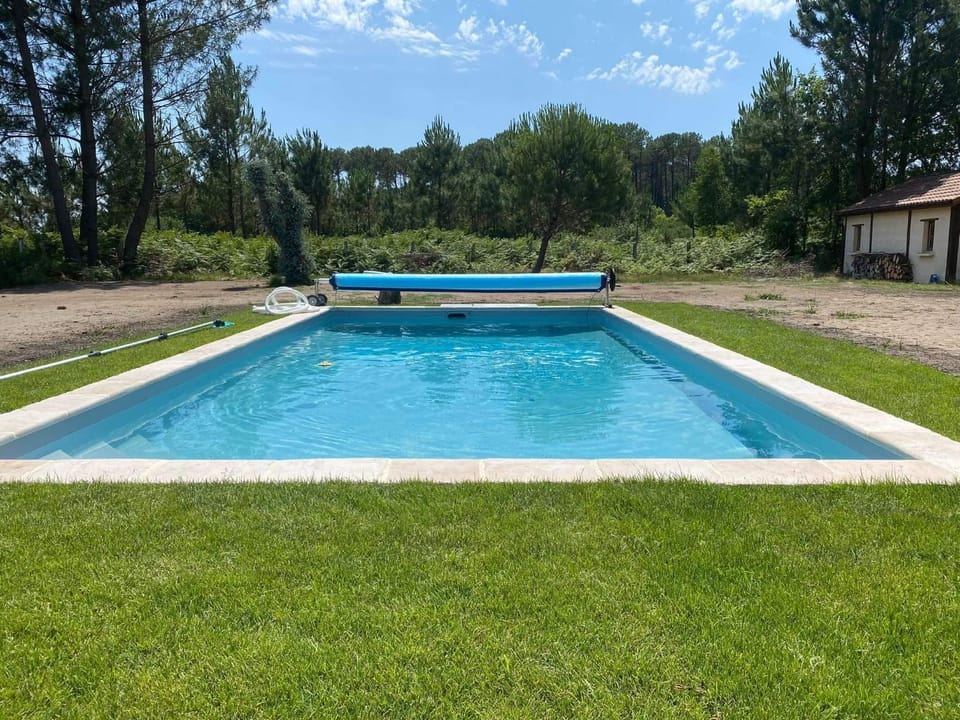 Spring, Day, Natural landscape, Garden, Garden view, Pool view, Swimming pool, sunbed