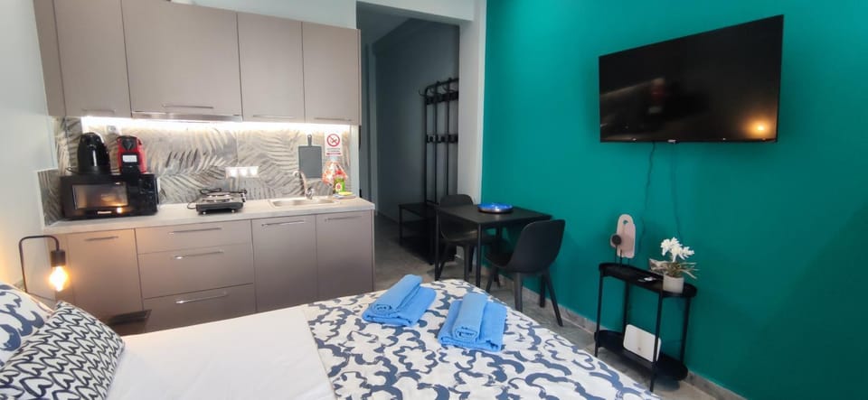 Bed, TV and multimedia, Kitchen or kitchenette, Photo of the whole room, Bedroom