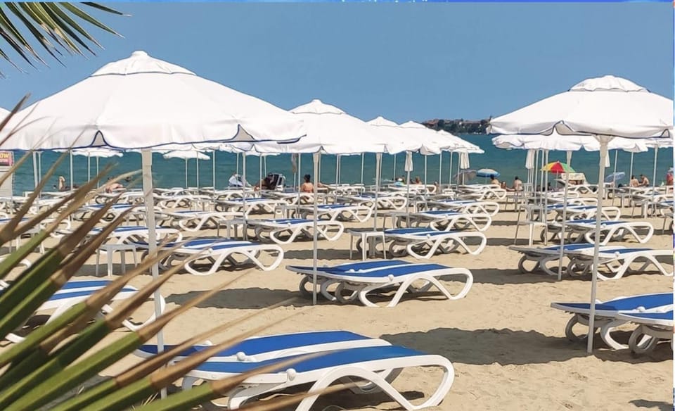 Natural landscape, Beach, sunbed