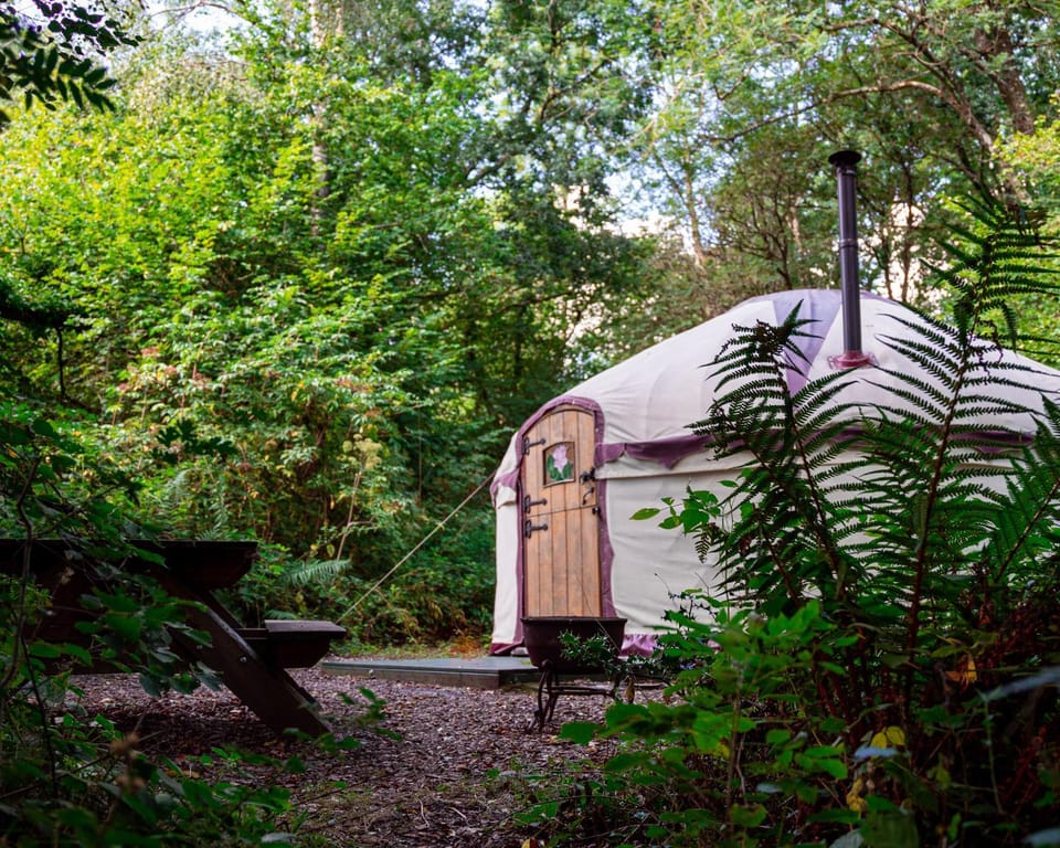 Woodland Yurt at Kingsmead Campground/ 
RV Resort in Wellington