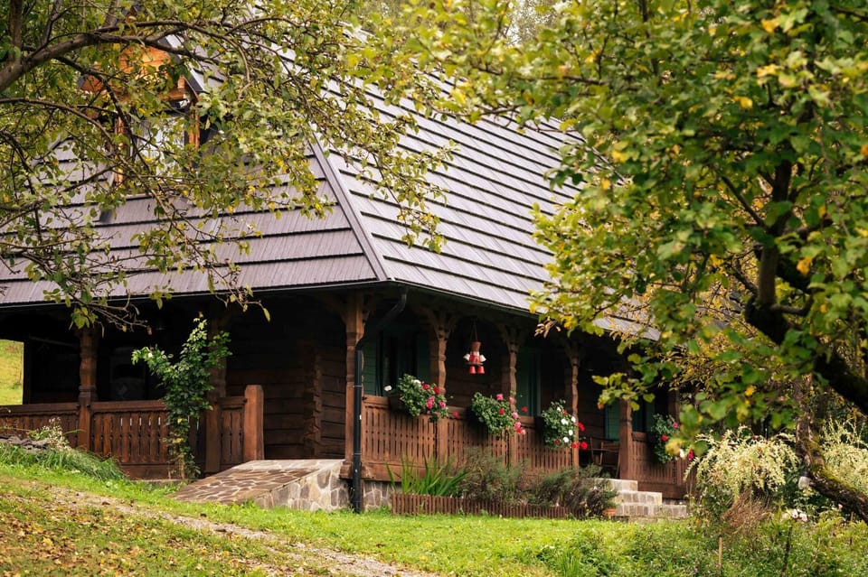 River Song Inn Bed and Breakfast in Romania