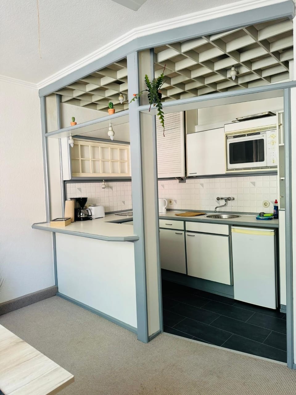 Kitchen or kitchenette, kitchen