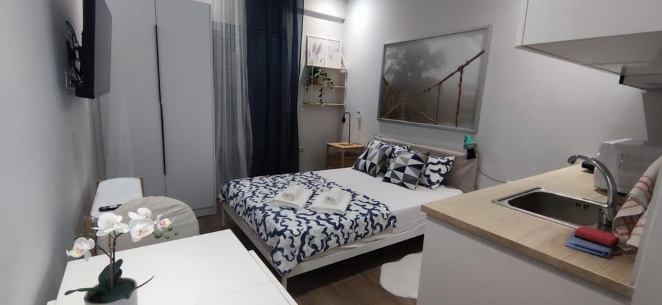 Bed, TV and multimedia, Kitchen or kitchenette, Photo of the whole room, Bedroom, towels