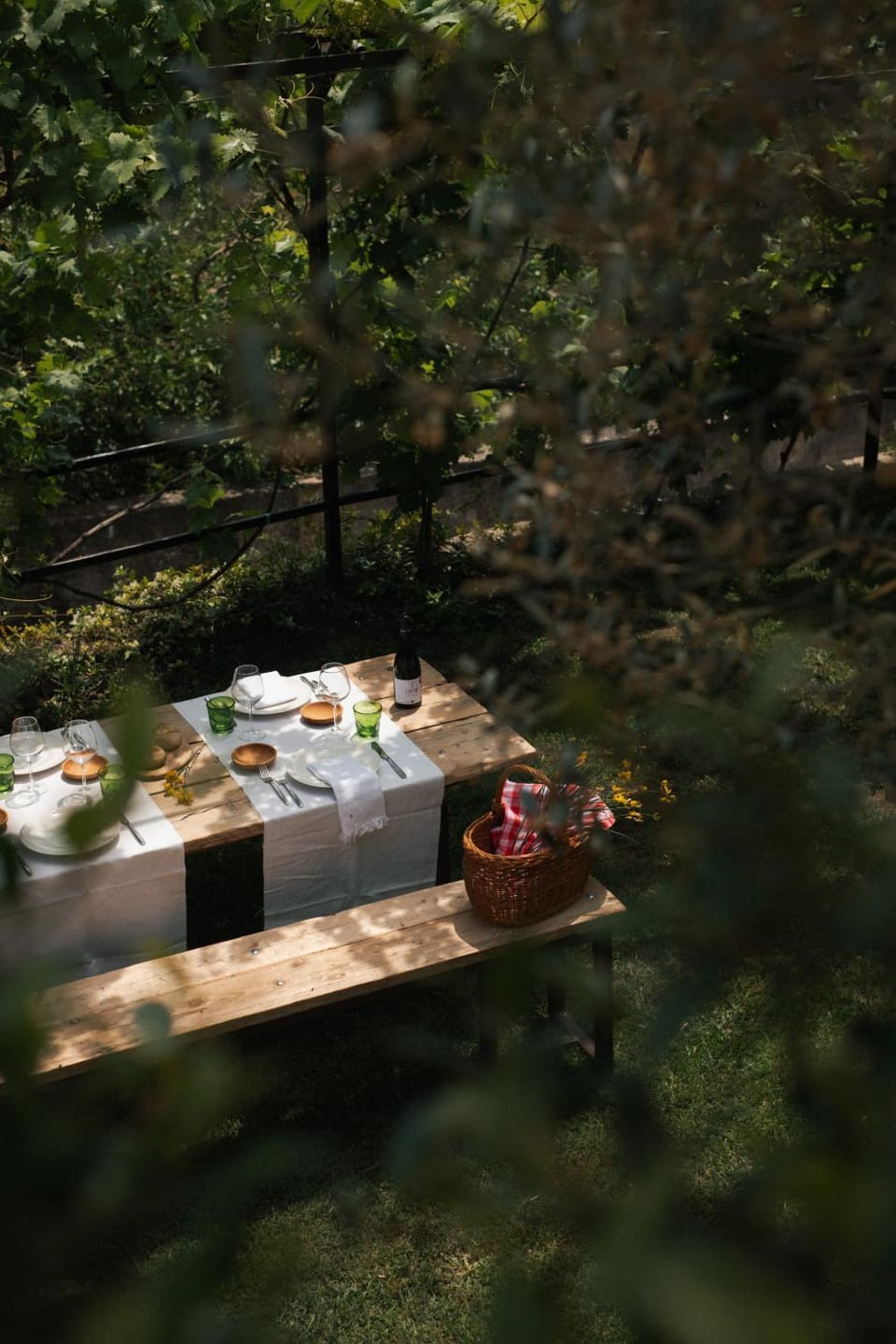 Garden, Food and drinks, Dining area