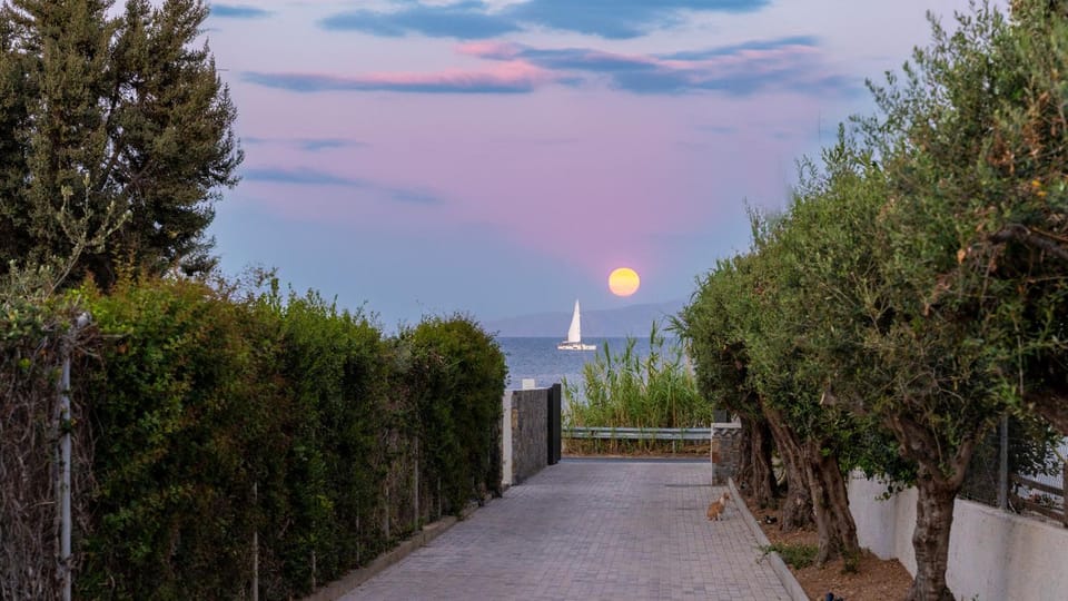 Natural landscape, Garden view, Sea view