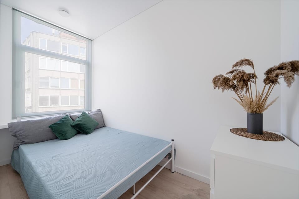 Central Cozy 1Bedroom Apartment with Sofa Bed - Sleeps 4 Apartment in Vilnius