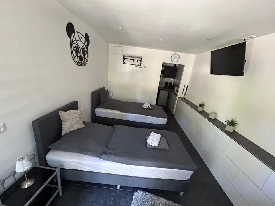 TV and multimedia, Photo of the whole room, Bedroom