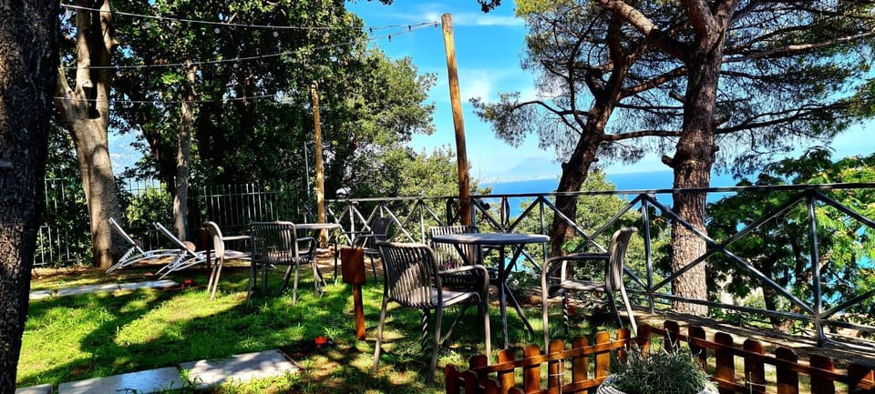 Property building, Bird's eye view, Garden, Garden, View (from property/room), View (from property/room), Garden view, Garden view