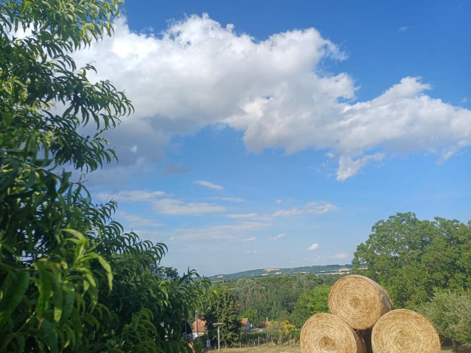 LídRind porta House in Hungary