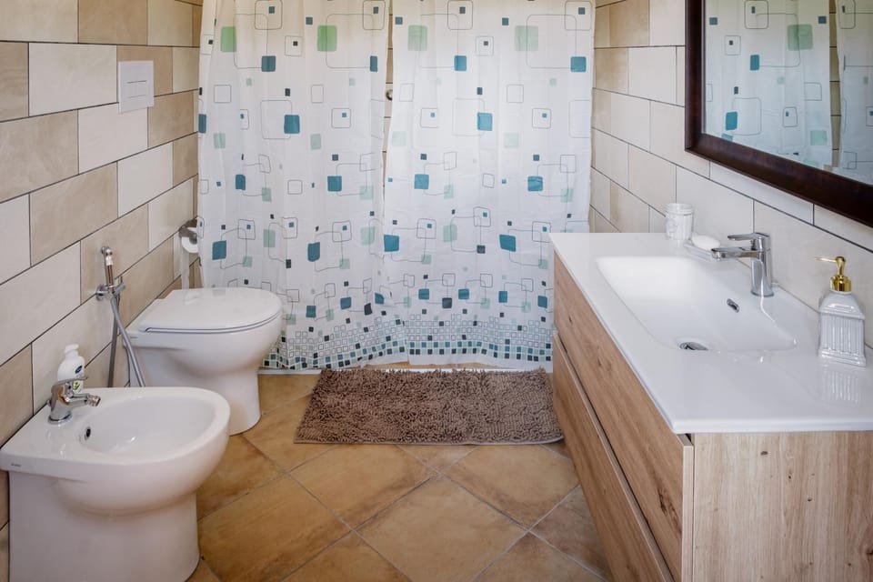 Shower, Toilet, Bathroom, bidet