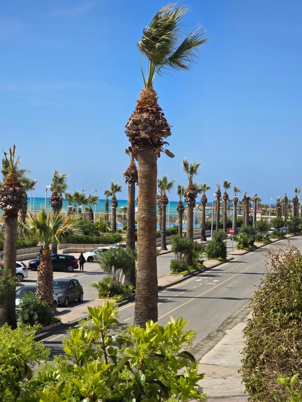 Neighbourhood, Natural landscape, Sea view