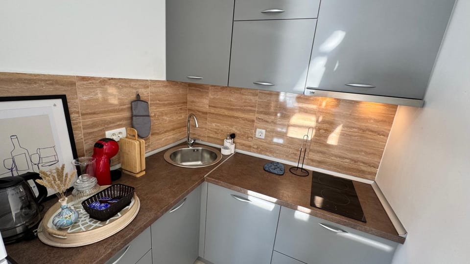 Kitchen or kitchenette, dishwasher, stove