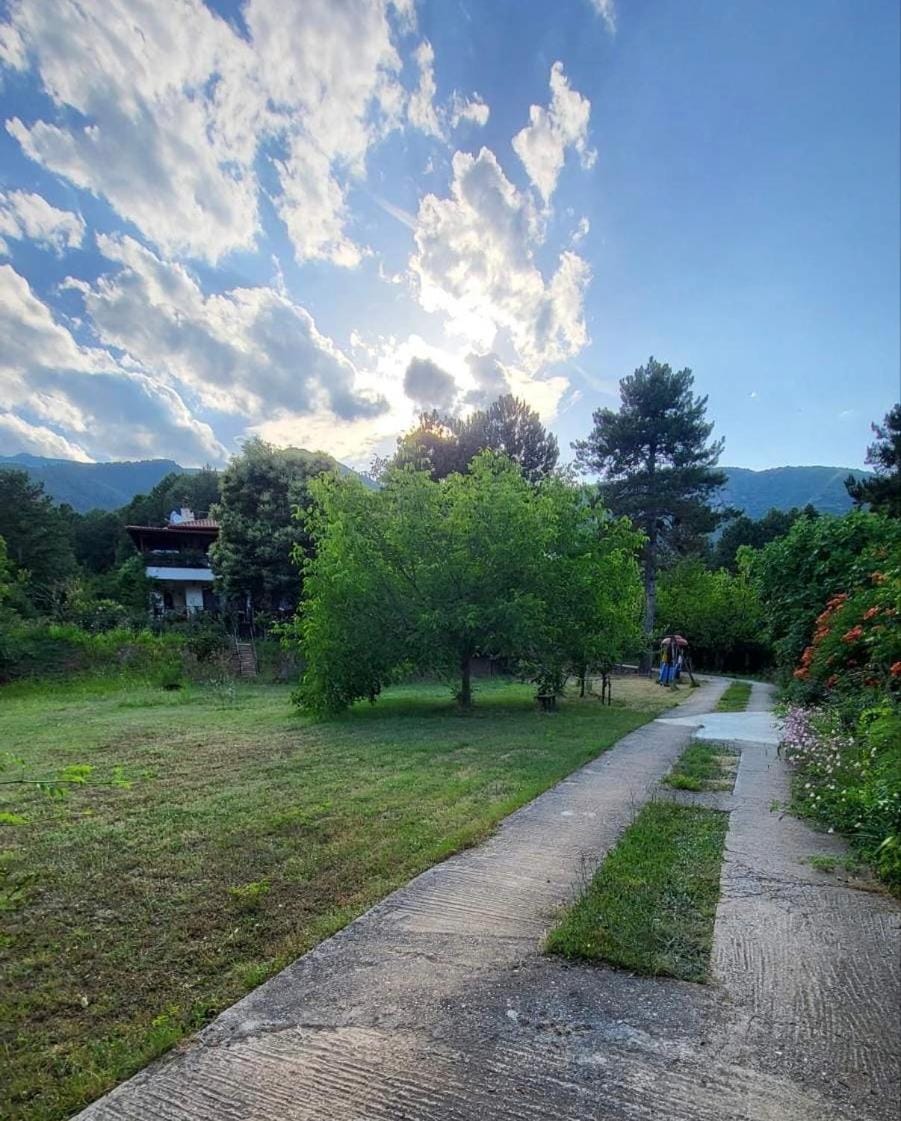 Garden, Garden view