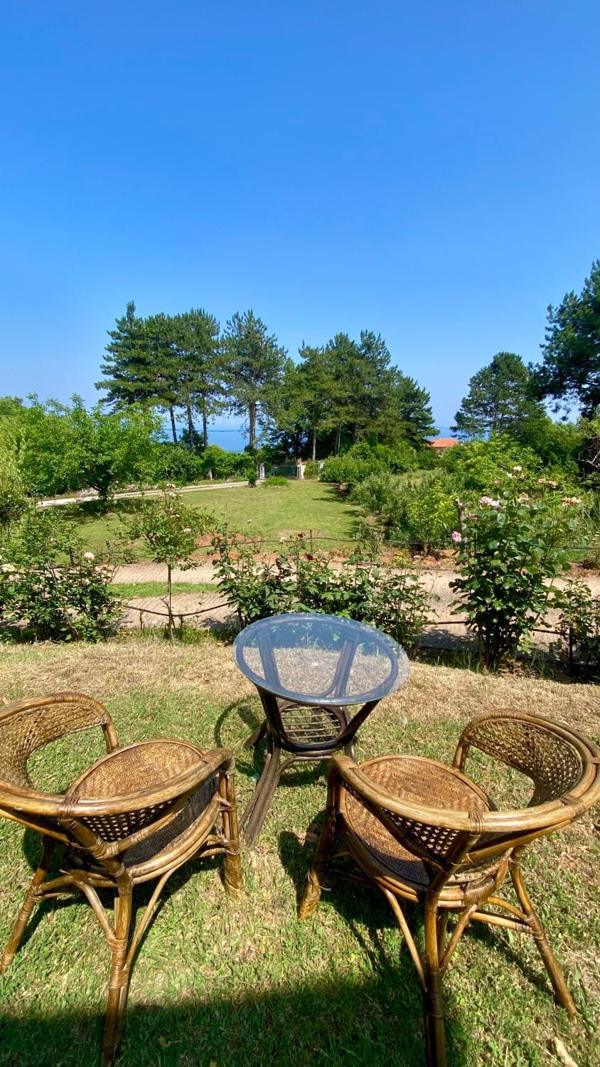 Garden, Garden view